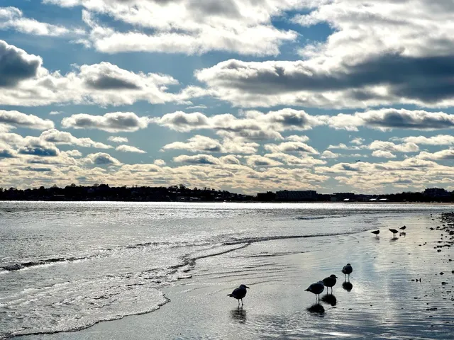 A Huizhou House in Salem – Just Outside Boston 🏮