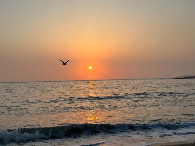 Incheon Eulwangri Beach: Budget Travel Guide for Thrifty Travelers 🌊