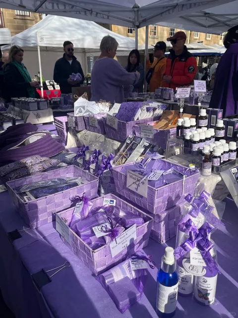 🇦🇺 Hobart | Ultimate Half-Day City Walk