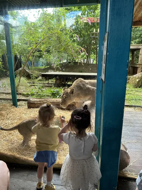 A Typical Weekend Day for Us