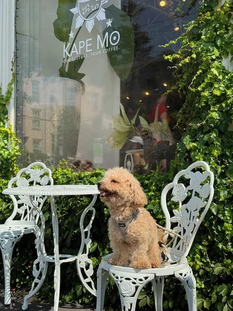 New York Weekend Escape to a Peaceful Day Trip 🌿