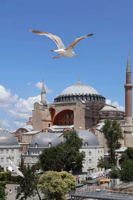 🇹🇷 Istanbul's Must-Visit Photo Spot: Seven Hills Rooftop! 📸✨