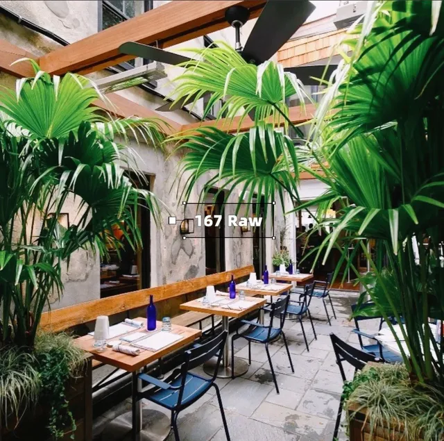 Must-Visit Seafood Restaurants in Downtown Charleston, SC! 🍤🌊