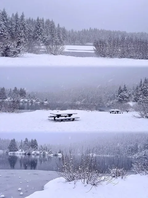 The snow-covered Gold Creek Pond is just too beautiful! ❄️