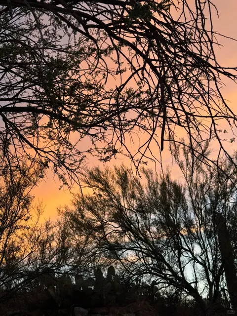 At Saguaro National Park — one of Tucson’s must-visit spots