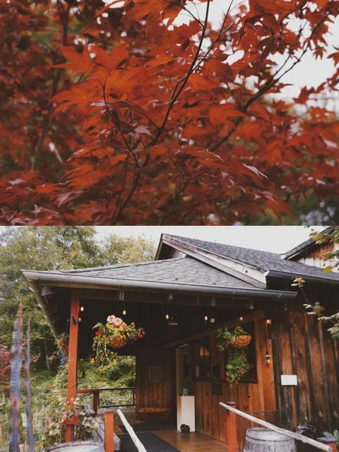 Seattle | Autumn Charm on Orcas Island