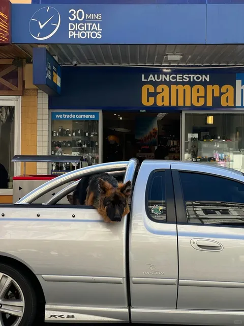 🇦🇺 Tasmania | Launceston Diaries