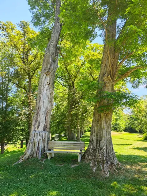 Windsor, NS: A Hidden Gem Near Halifax! 🚗🍁