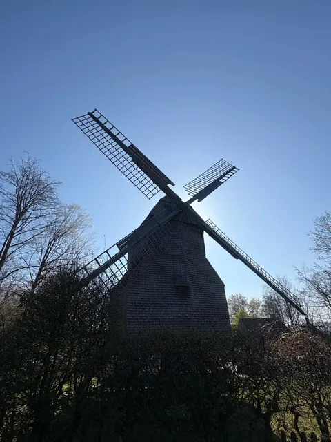 🇩🇪 Bielefeld | Birdsong & Brews: A Hidden Hilltop Café