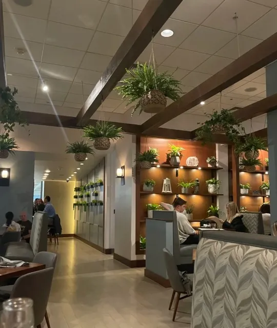 Noa | Where Global Flavors Meet Minneapolis Modern 🌍🍽️