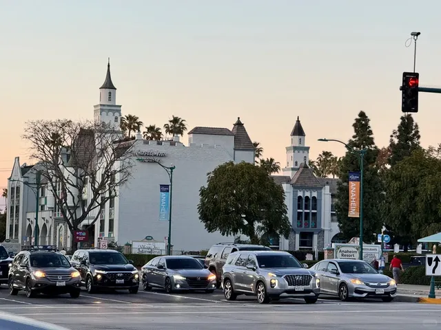 🌴 Serene Moments in Anaheim, California