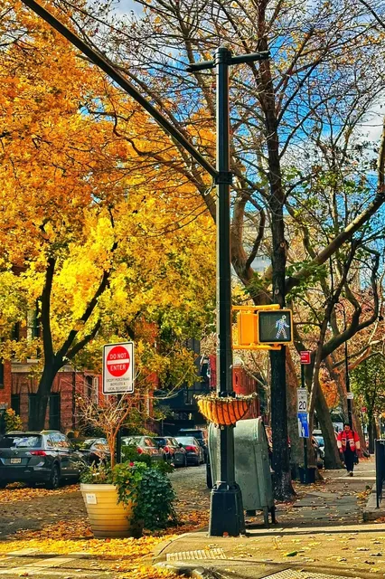 New York's Gentle Haven 🍂 Brooklyn Is So Healing