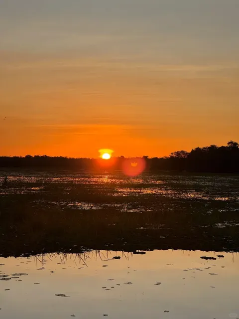 An Untamed Aussie Adventure🌿 