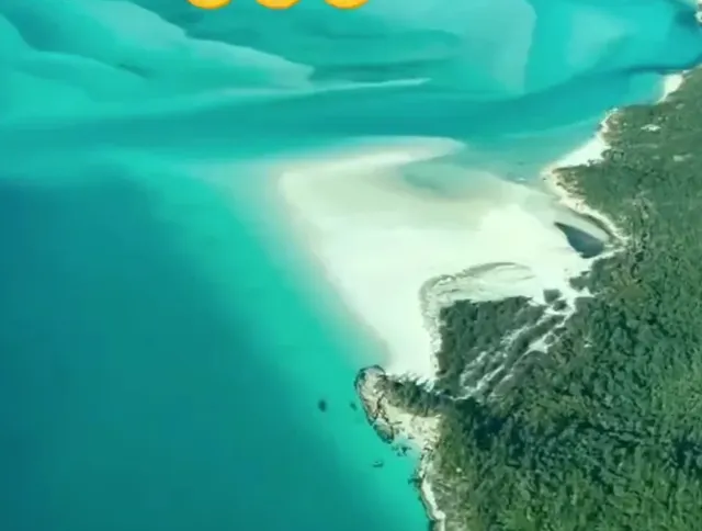 ​​Cairns Hotels Guide 🏨​​