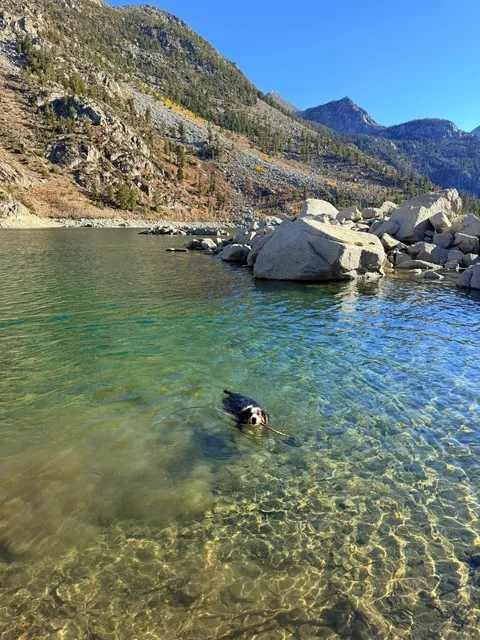 My doggo says California's Highway 395 totally lives up to the hype! 
