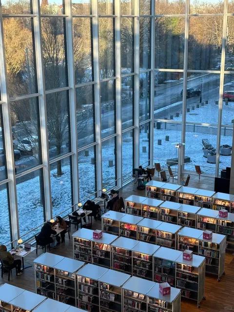 Swedish & Danish Libraries Worth Visiting