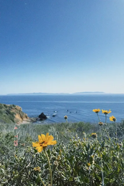 LA｜A Super Healing Oceanfront Trail 🌊☀️💖