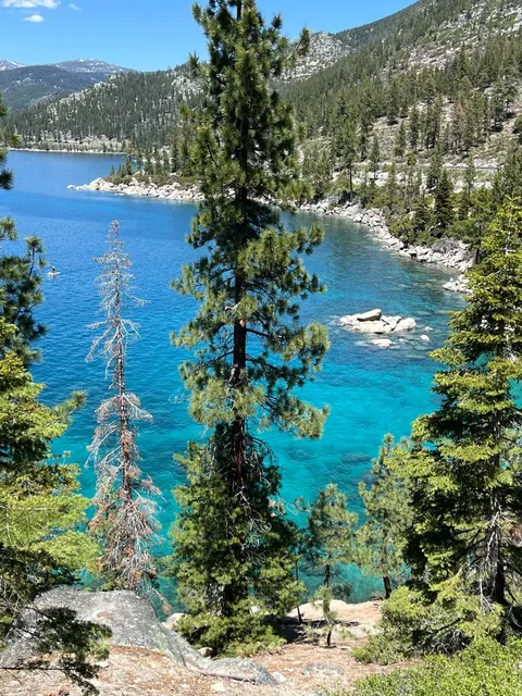 California｜Spirited Away Vibes at Lake Tahoe’s "Jelly Lake" Guide 🦋