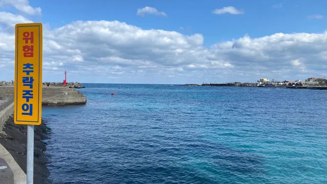 College Student’s 1,500 eju Island Trip 🇰🇷 (Flight Included ✈️)