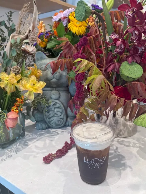 Chicago｜Who’s the Lucky Cat That Got to Try Lucky Cat?