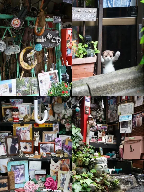 🌿🍃 Shibuya Travel 🌸🌺