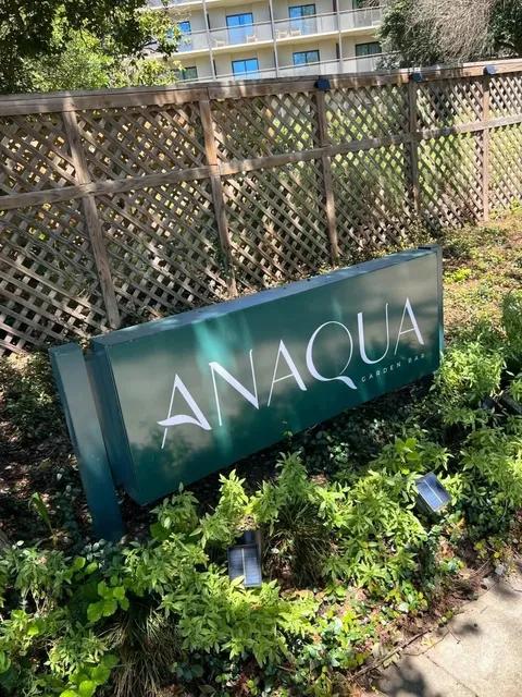 San Antonio! A Cozy Brunch Spot So Lush You Won't Want to Leave! 