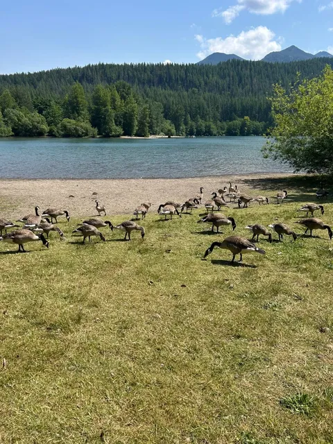 Rattlesnake Ledge - Seattle's Perfect Last-Minute Hike! 🐍🥾  