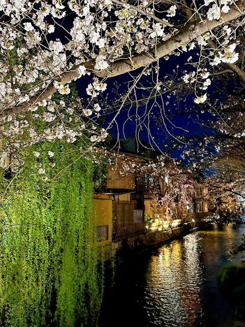 📸 Photo Spots: Gion's Breathtaking Moments