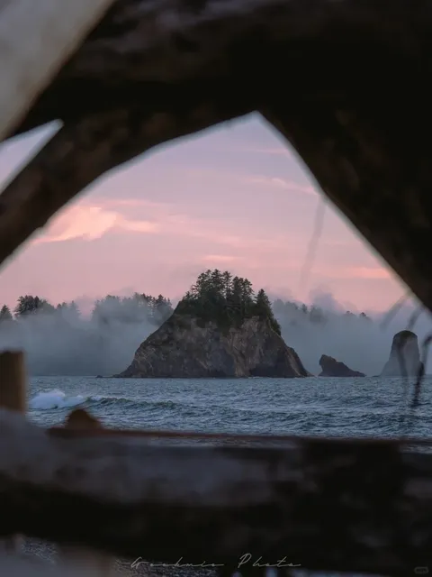 🖤 Olympic NP: When the Sea Isn’t Blue, It’s Even Better 🌫️