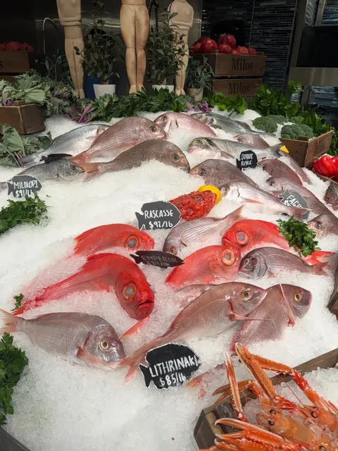 🇺🇸 Vegas Greek Seafood Restaurant | Estiatorio Milos