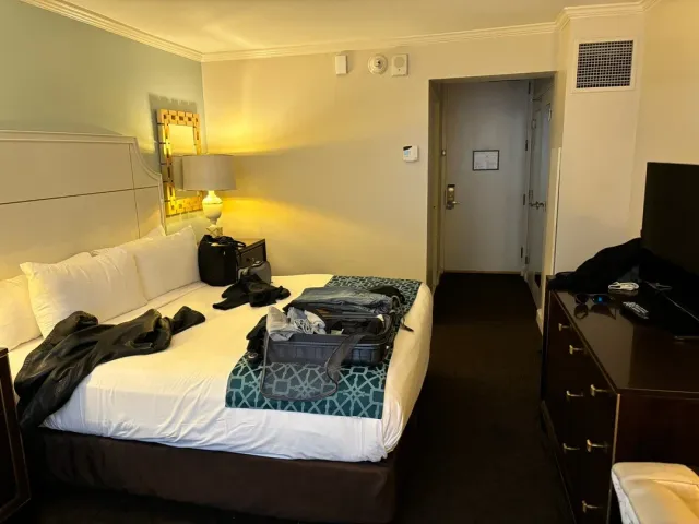 🎄 Magical Christmas on a Bourbon Street Balcony!