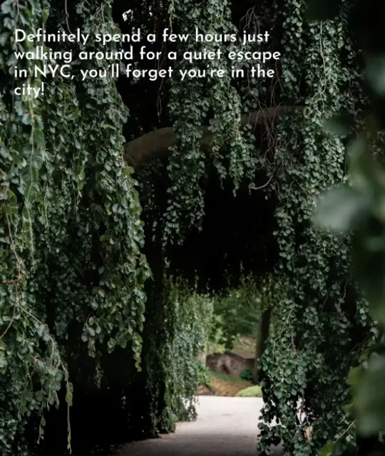 Unreal Places in NYC🌳🏛️