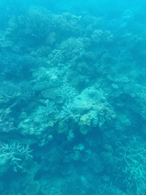 🇦🇺 Sailing on Ocean Spirit in Cairns