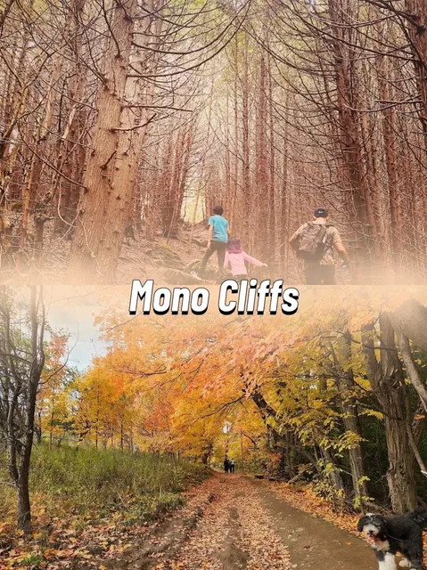 Toronto Area | 3 Must-Visit Spots You'll Never Want to Leave 🌟