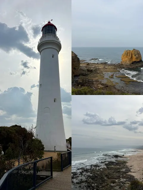 🇦🇺 Great Ocean Road 2-Day 1-Night Road Trip 🚗🌊