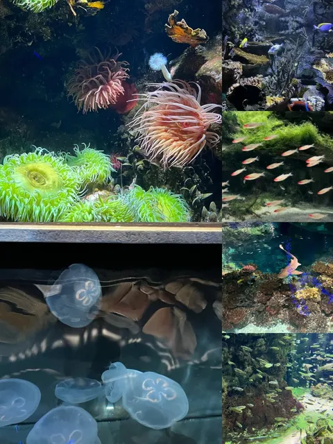 Baltimore Weekend Guide | Strolling Through the Inner Harbor & Beyond 