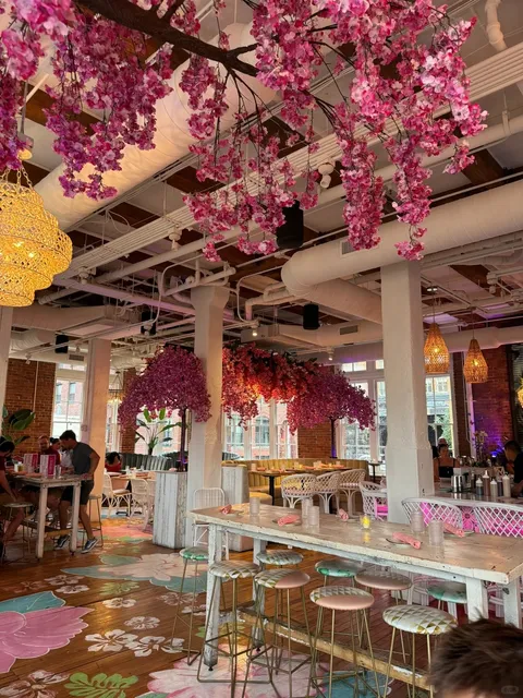 I can’t believe Boston has such a beautiful restaurant