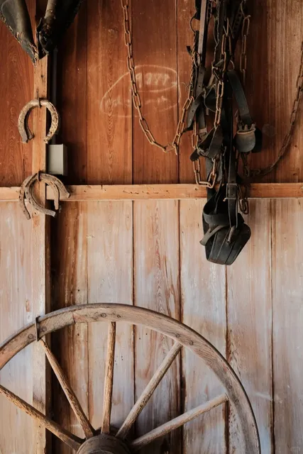 Oak Alley Plantation – A Must-Visit in New Orleans! 🌳✨