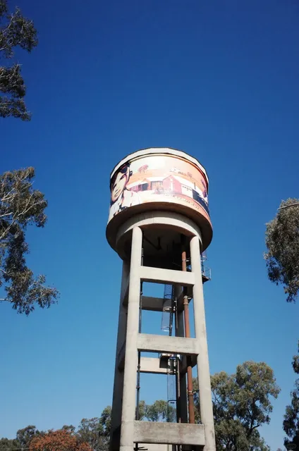 🚗 Wagga Wagga & Albury Adventure: Off-the-Beaten-Path Gems!