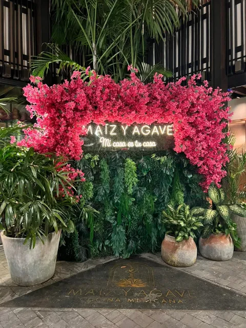 A Gorgeous Hidden Gem in Miami's Coral Gables! 💎