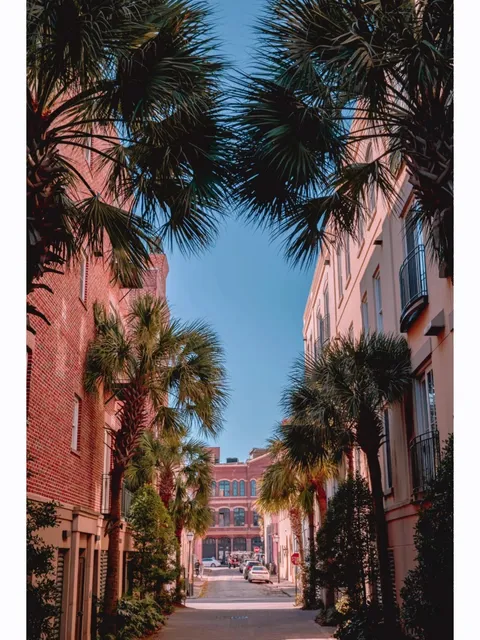 Charleston Travel Guide | Dreamy Pastel Town in South Carolina 🌸🏛️🌴