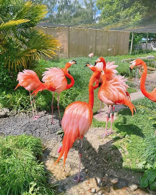 London Life | Off-the-Beaten-Path Zoo and Maze