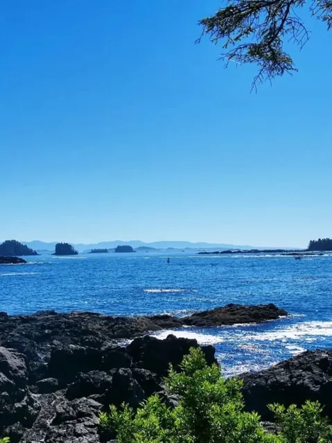 🌊 Walking the Edge of the Pacific | Ucluelet's Wild Coastal Magic