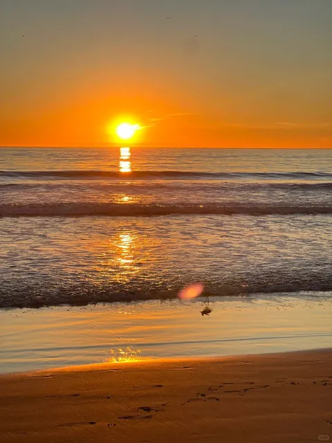 🇺🇸 | 📍Santa Monica 🌅 The Gentle Glow of a California Evening