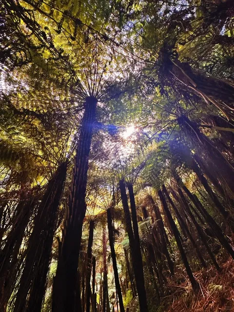 Hidden Paradise on Earth | Hunua Falls – Ultra-Detailed Guide 🌊  