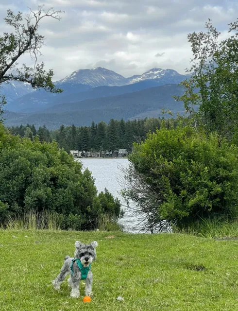 Whistler's Best-Kept Secret