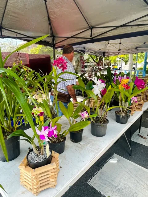 🇦🇺 Cleveland Sunday Markets 🥬🍯 – No Car Needed! 🤗