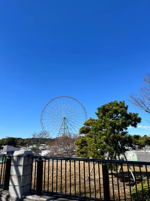 The Sea Closest to Tokyo | Kasai Rinkai Park 🌊