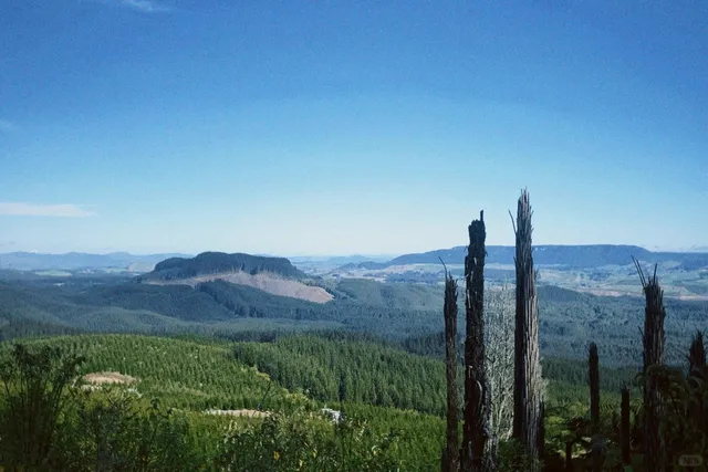 🚵‍♀️ Rotorua Mountain Biking: Forest Loop Adventure!