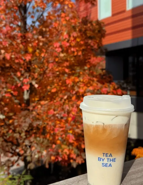 The Perfect Encounter of Sea Breeze and Bubble Tea 🧋